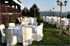 αλθαία γάμος