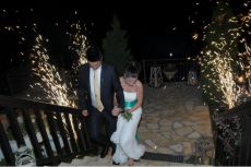 εκδηλώσεις γάμων αλθαία